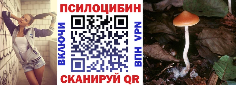 кракен рабочий сайт  Дивногорск  Галлюциногенные грибы ЛСД 